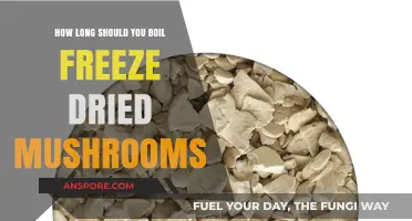 Boiling Freeze-Dried Mushrooms: Optimal Time for Perfect Texture and Flavor