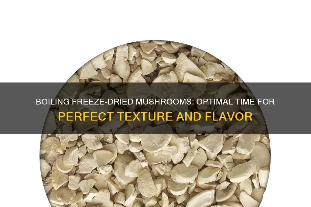 how long should you boil freeze dried mushrooms