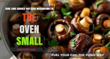 Perfectly Roasted Mushrooms: Optimal Oven Cooking Time Guide