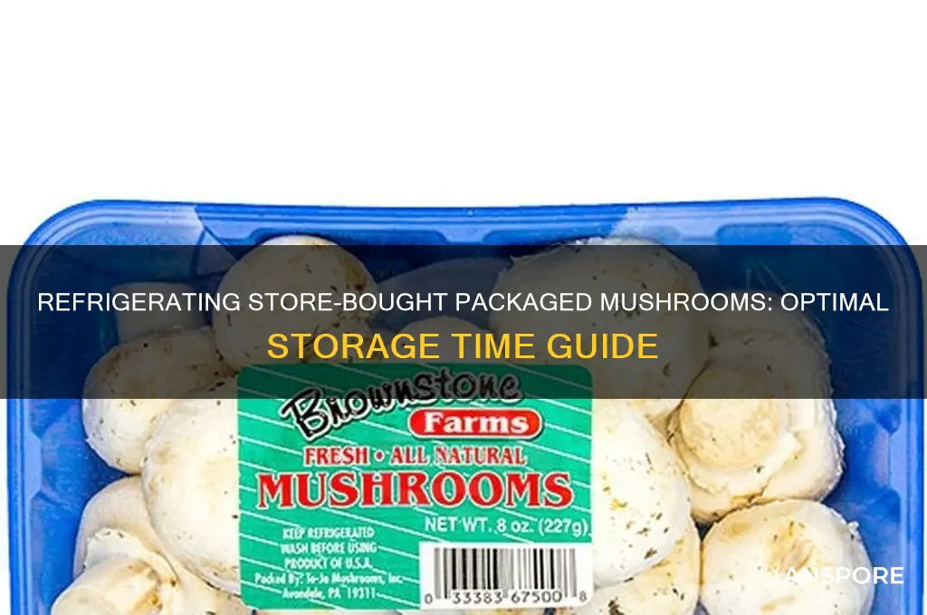how long should you keep storebought packaged mushrooms in refrigerator