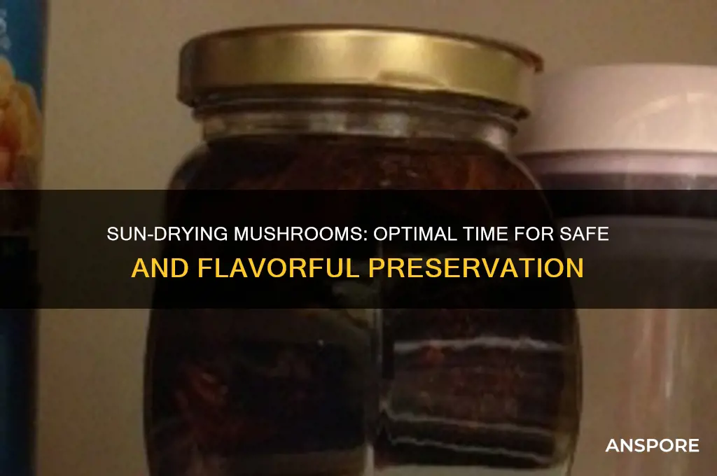 how long should you leave mushrooms out in the sun