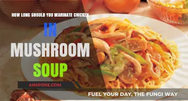Perfectly Marinated Chicken: Mushroom Soup Marinade Timing Tips