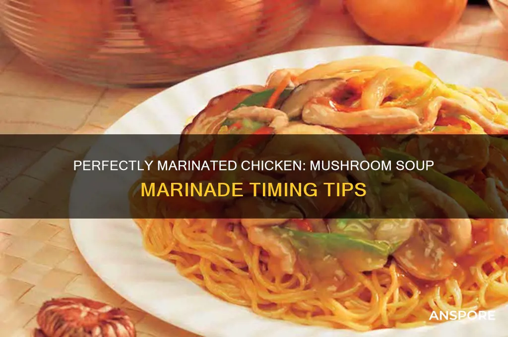 how long should you marinate chicken in mushroom soup