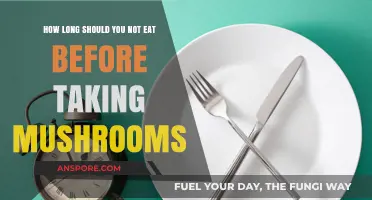 Fasting Before Shrooms: Optimal Timing for Safe Mushroom Consumption