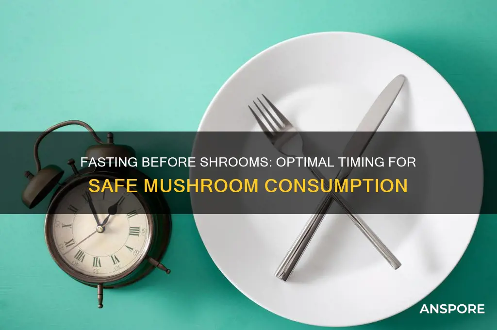 how long should you not eat before taking mushrooms
