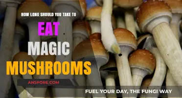Timing Your Trip: Optimal Duration for Consuming Magic Mushrooms