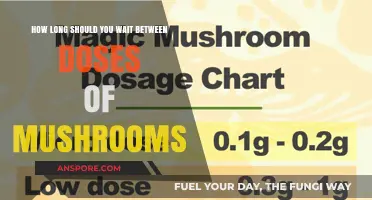 Optimal Timing for Mushroom Doses: Balancing Safety and Effects