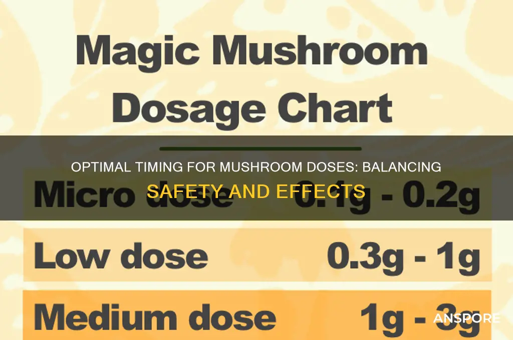how long should you wait between doses of mushrooms