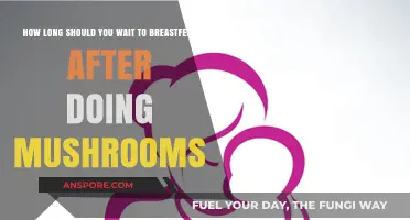 Breastfeeding After Mushroom Use: Safe Waiting Periods Explained