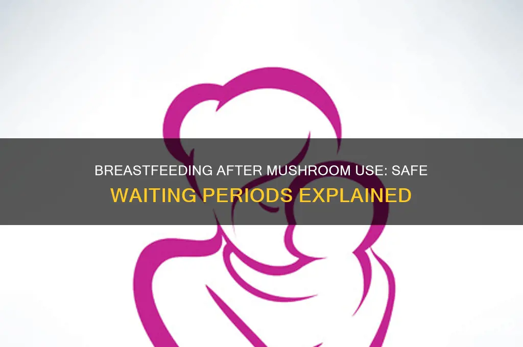 how long should you wait to breastfeed after doing mushrooms