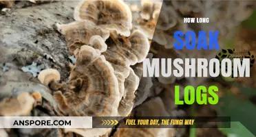 Mastering Mushroom Log Soaking: Optimal Time for Healthy Growth