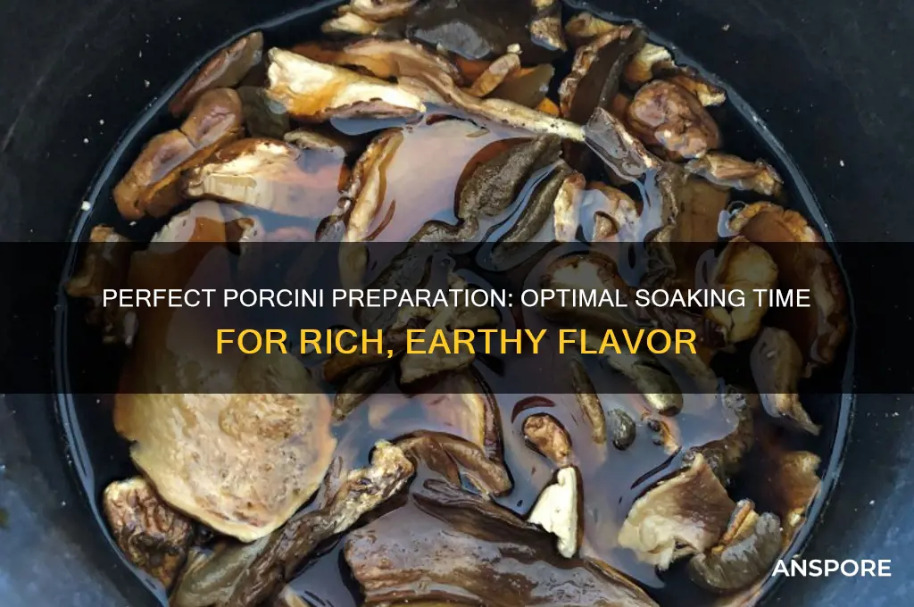 how long soak porcini mushrooms