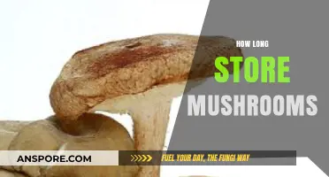 Maximizing Freshness: Optimal Storage Tips for Your Mushrooms