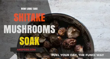 Perfect Shiitake Soaking Time: Tips for Tender, Flavorful Mushrooms