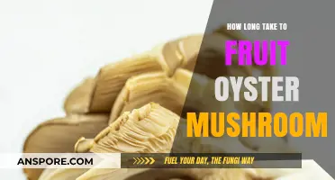 Growing Oyster Mushrooms: Understanding the Fruiting Timeline for Success