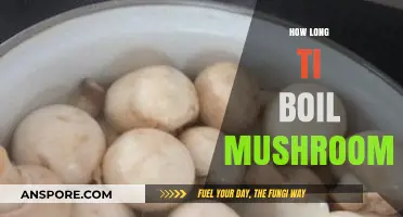 Perfectly Cooked Mushrooms: Mastering the Ideal Boiling Time