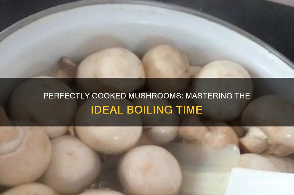 how long ti boil mushrooms