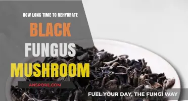 Rehydrating Black Fungus Mushrooms: Optimal Time for Perfect Texture