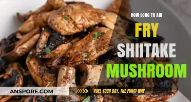 Perfectly Crispy Air-Fried Shiitake Mushrooms: Timing and Tips