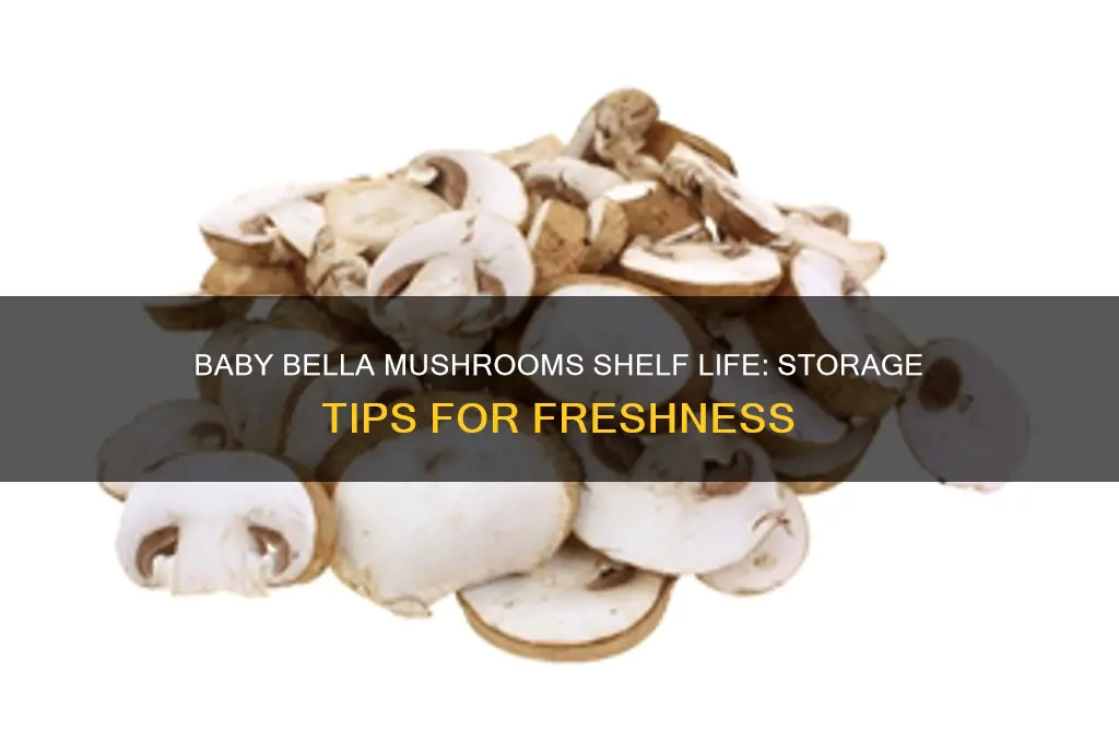 how long to baby bella mushrooms last
