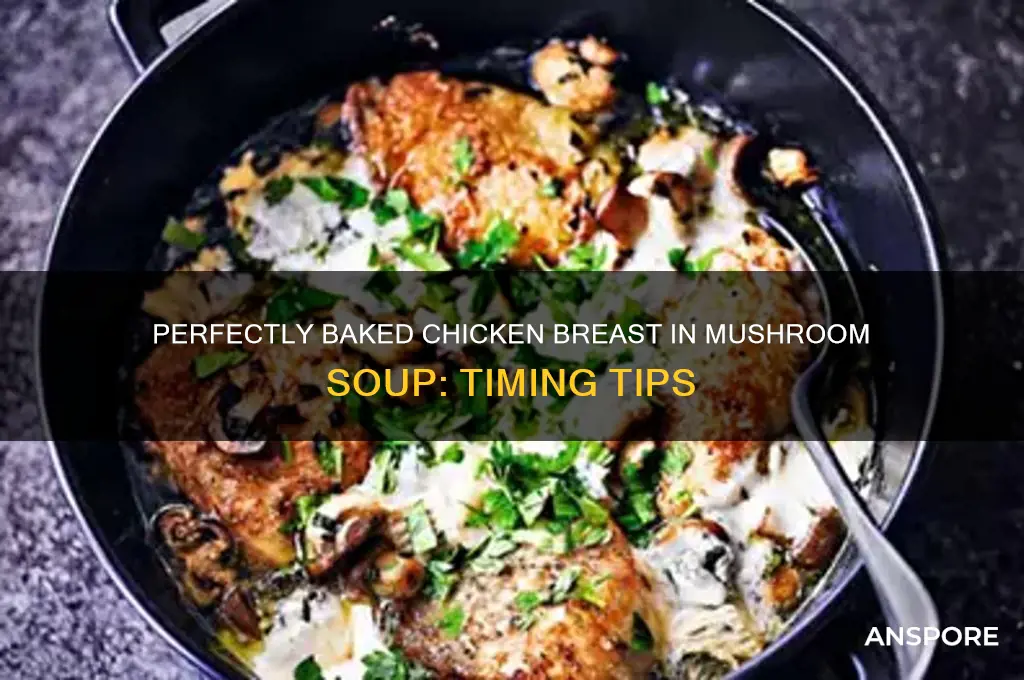 how long to bake chicken breast in mushroom soup