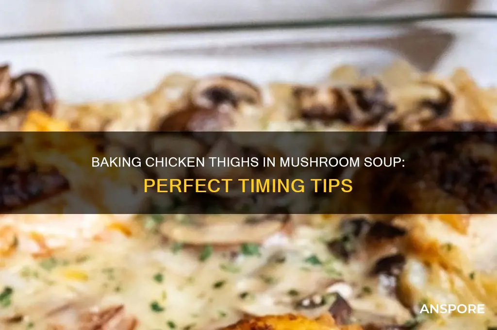 how long to bake chicken thighs in mushroom soup