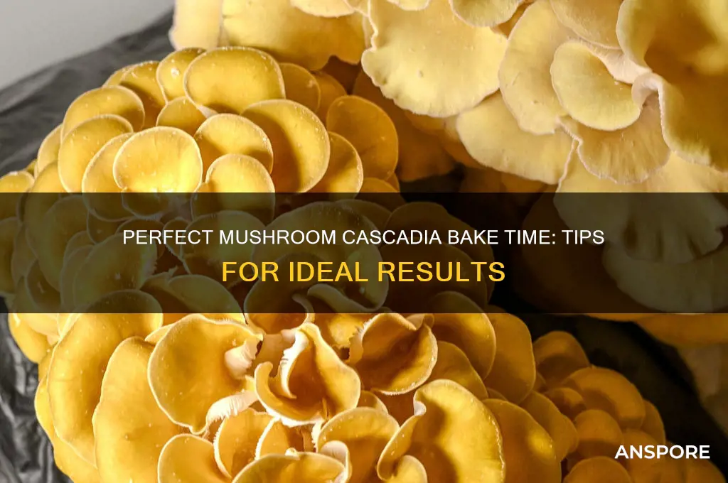 how long to bake mushroom cascadia