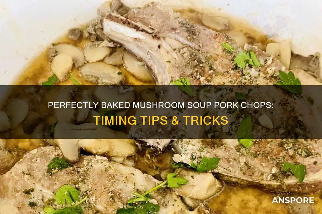 how long to bake mushroom soup pork chops