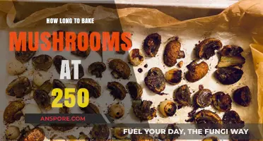 Perfectly Baked Mushrooms: Timing Tips for 250°F Oven Magic