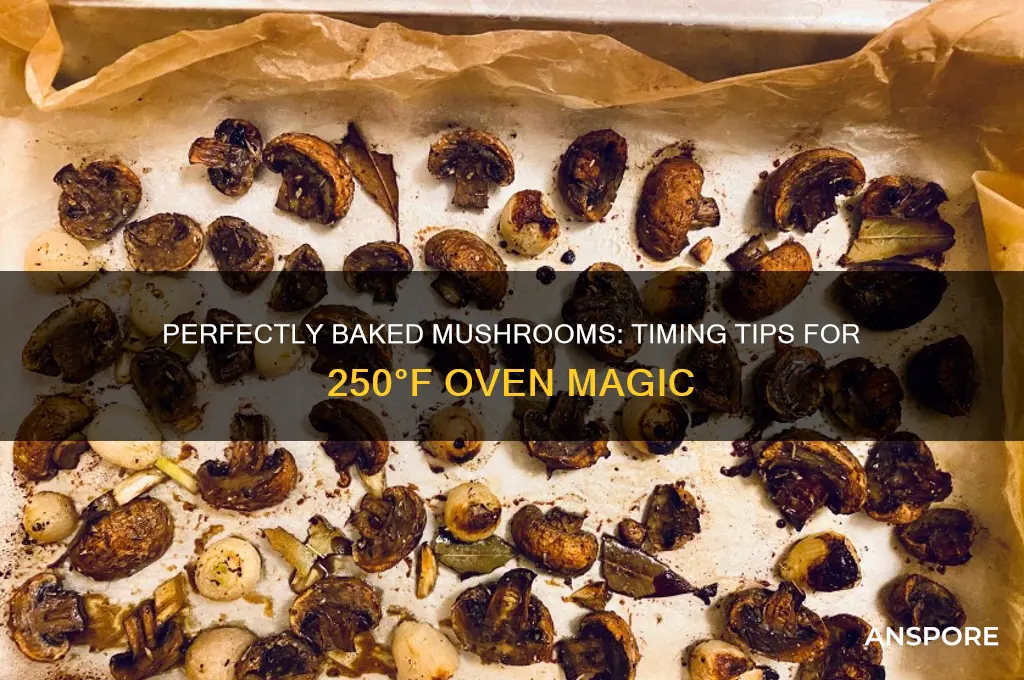 how long to bake mushrooms at 250