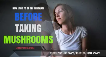 Seroquel and Mushrooms: Safe Timing for Psychedelic Exploration