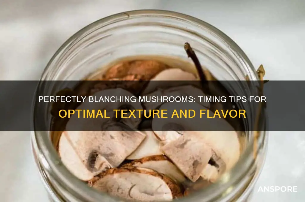 how long to blanch mushroom