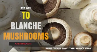 Perfectly Blanched Mushrooms: Timing Tips for Optimal Texture and Flavor