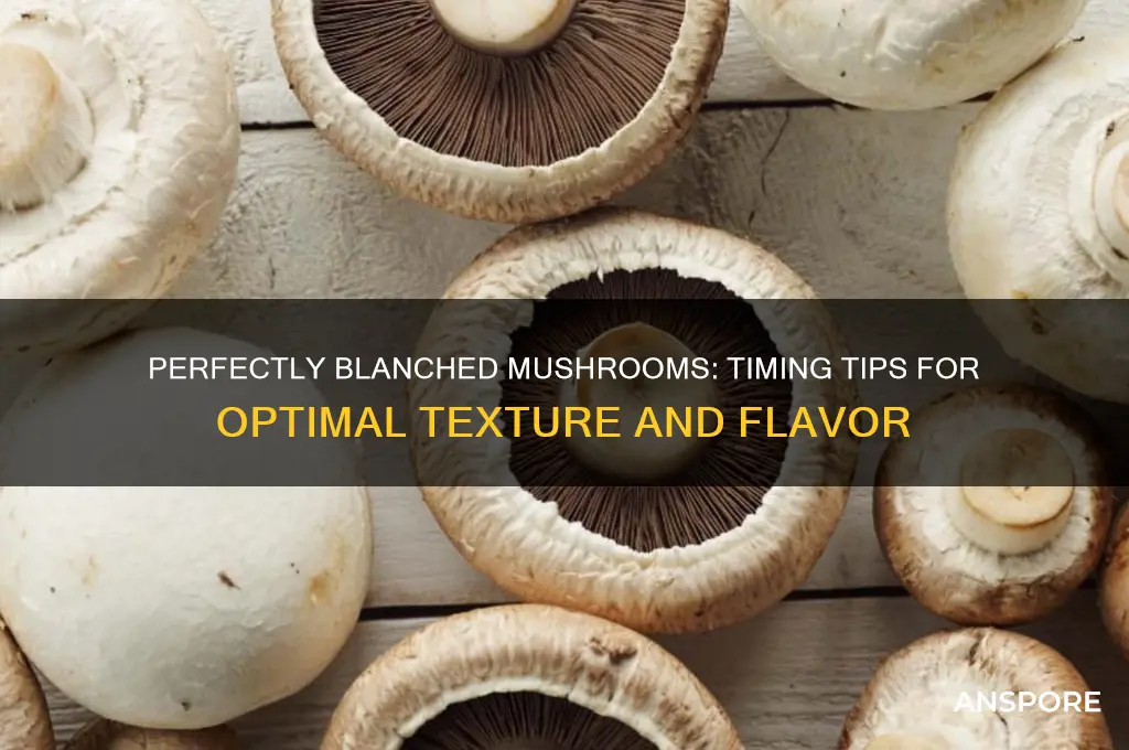 how long to blanche mushrooms