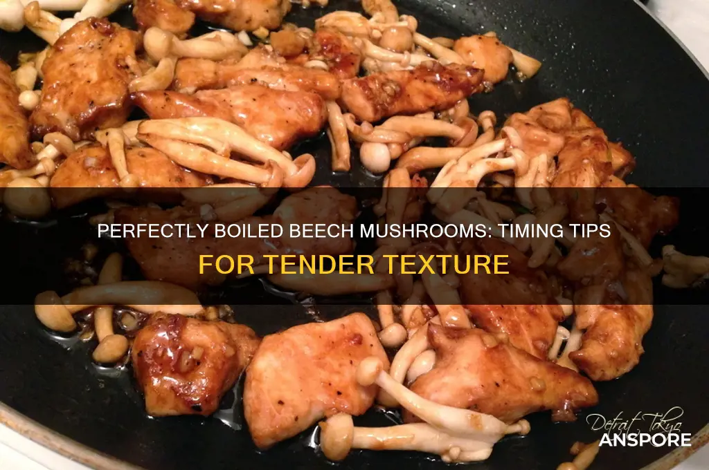 how long to boil beech mushrooms