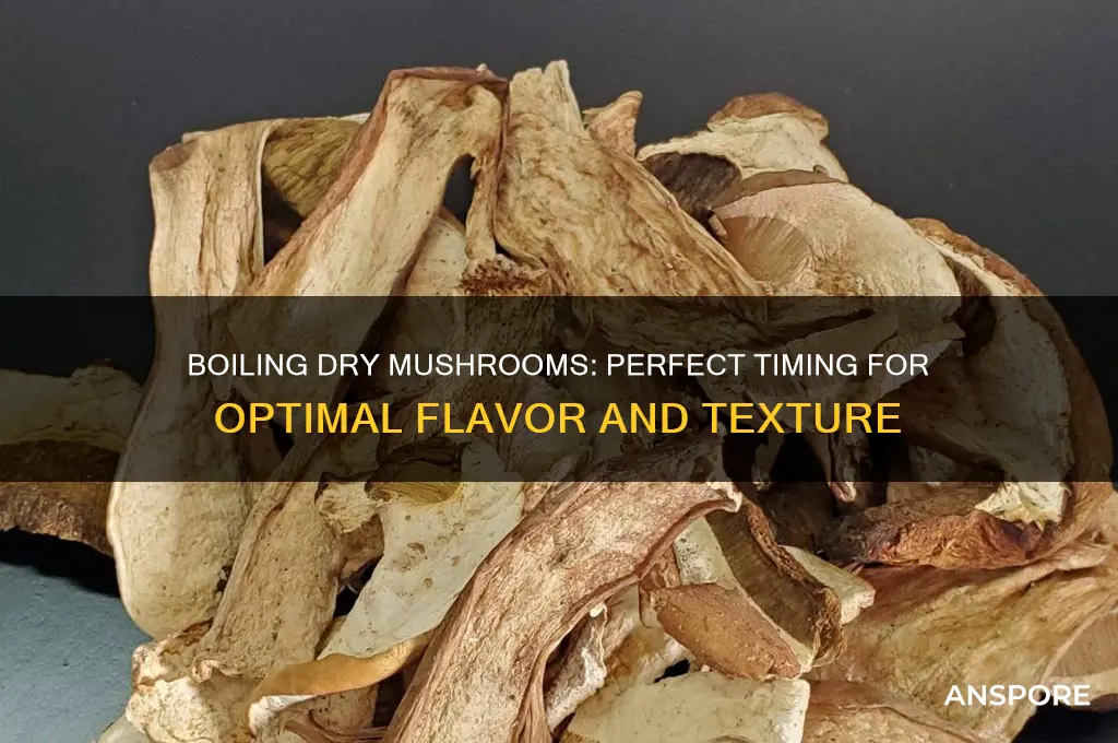 how long to boil dry mushrooms