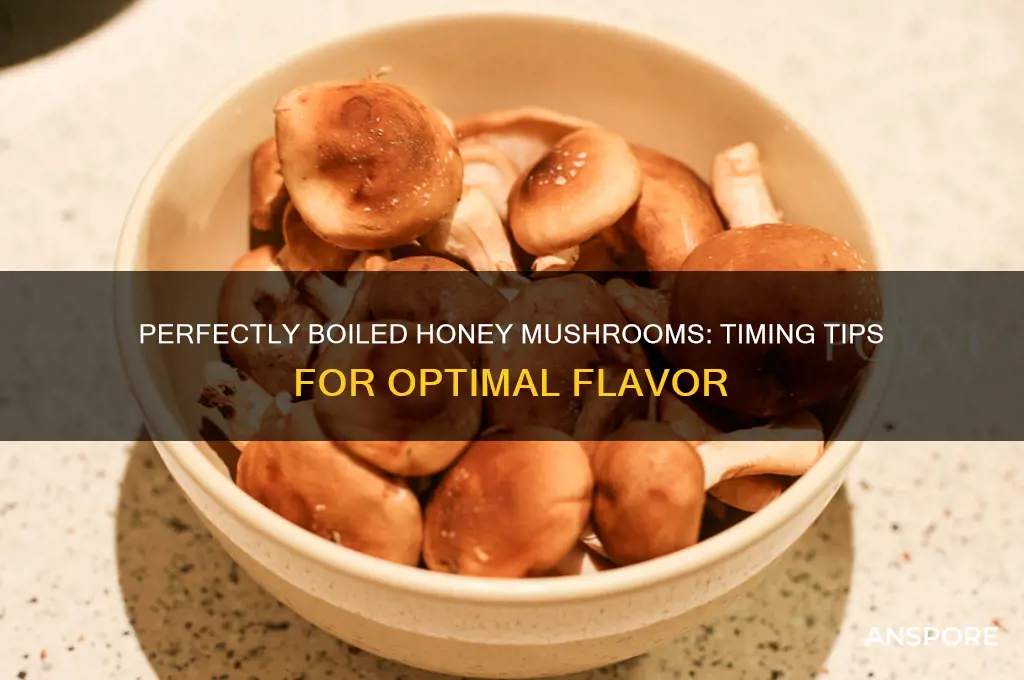 how long to boil honey mushrooms