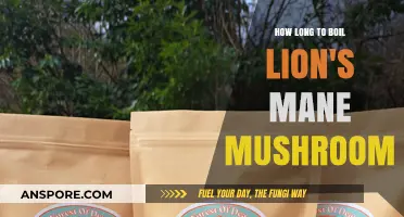 Perfectly Boiling Lion's Mane Mushrooms: Optimal Time and Techniques Revealed