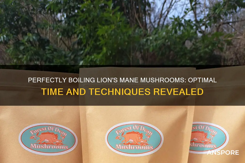 how long to boil lion