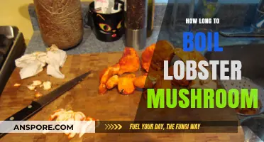 Perfectly Boiled Lobster Mushrooms: Timing Tips for Optimal Flavor