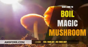 Boiling Magic Mushrooms: Optimal Time for Safe Preparation and Effects