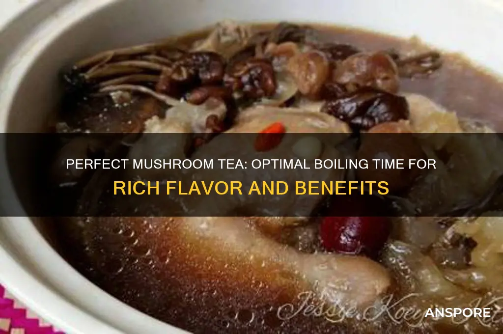 how long to boil mushroom tea
