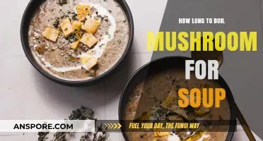 Perfect Mushroom Soup: Optimal Boiling Time for Flavor and Texture