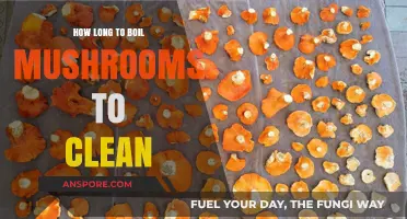 Boiling Mushrooms for Cleaning: Optimal Time and Techniques Revealed