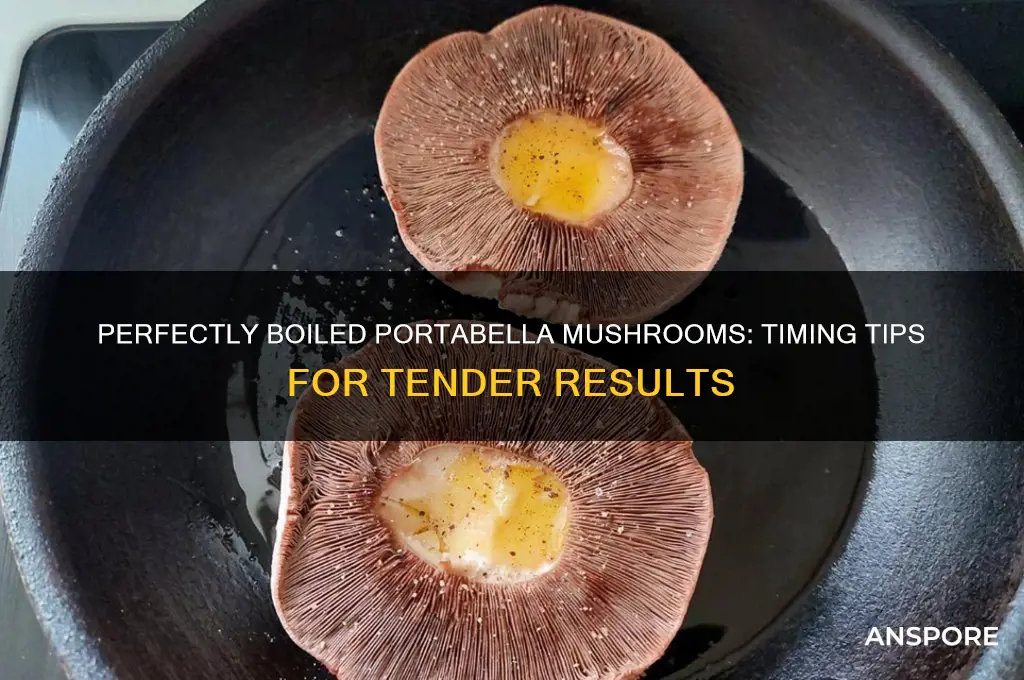 how long to boil portabella mushrooms