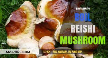 Boiling Reishi Mushrooms: Optimal Time for Maximum Health Benefits