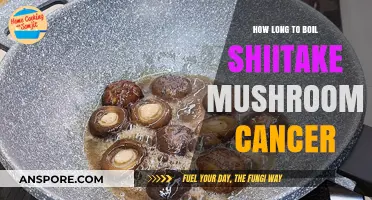 Boiling Shiitake Mushrooms for Cancer: Optimal Time and Benefits