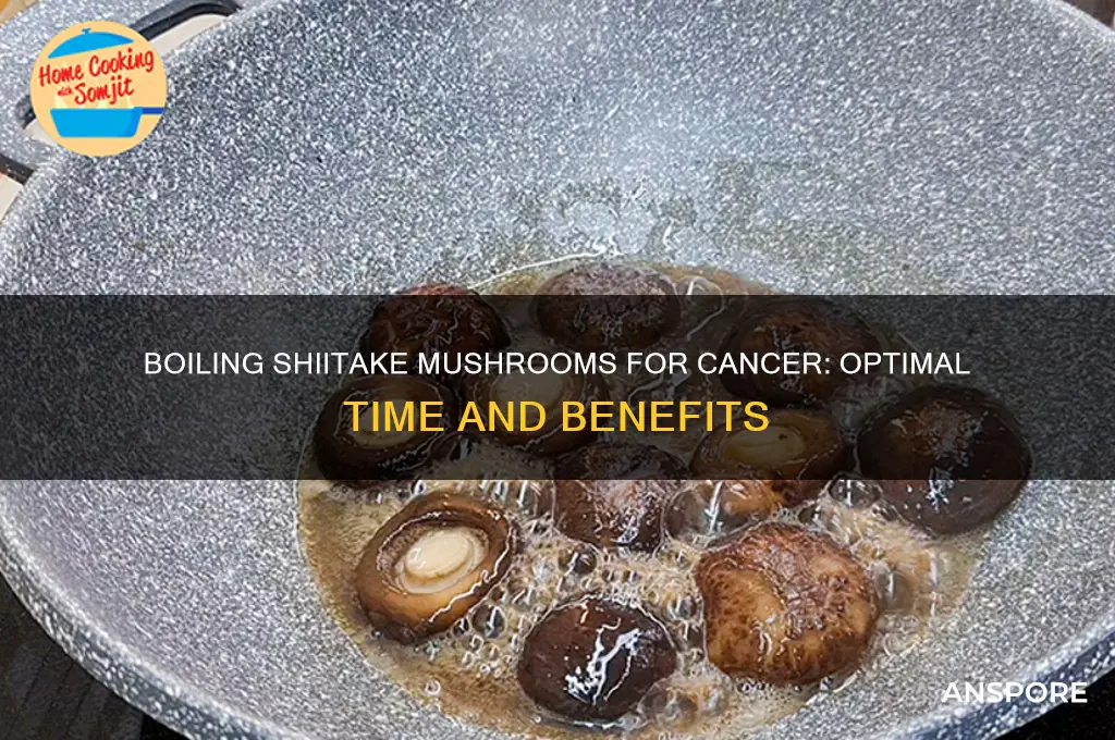 how long to boil shiitake mushrooms cancer