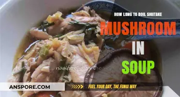 Perfect Shiitake Soup: Optimal Boiling Time for Mushrooms