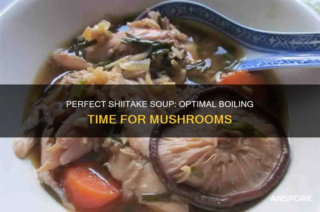 how long to boil shiitake mushrooms in soup